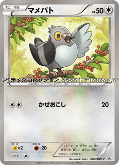 マメパト