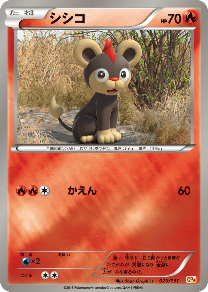シシコ card front