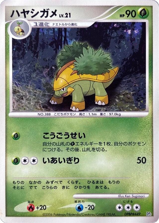 ハヤシガメ card front