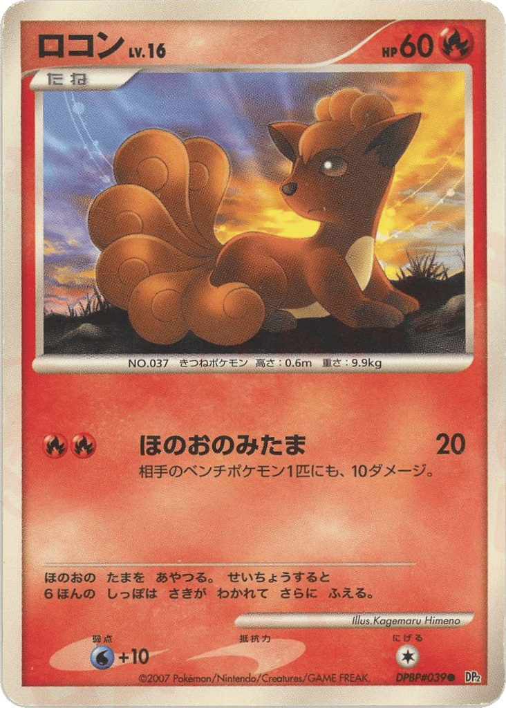 ロコン