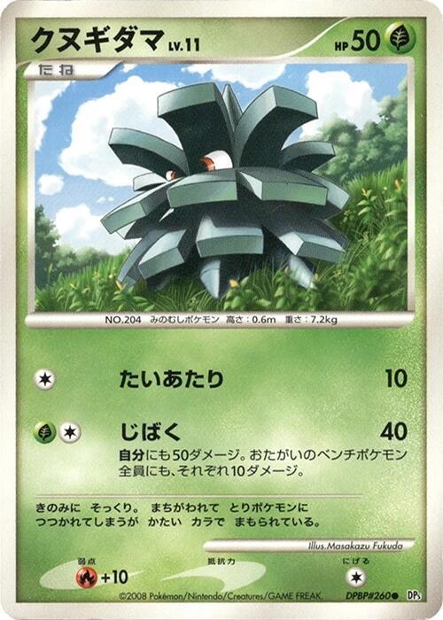 クヌギダマ card front