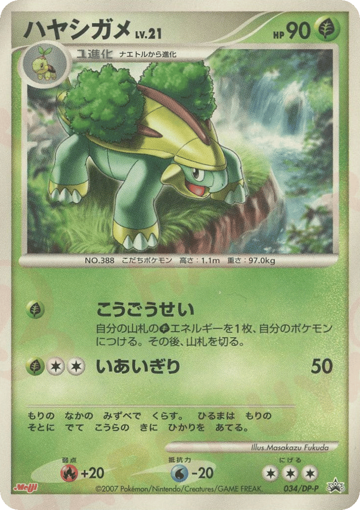 ハヤシガメ card front