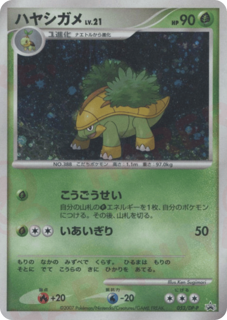 ハヤシガメ card front