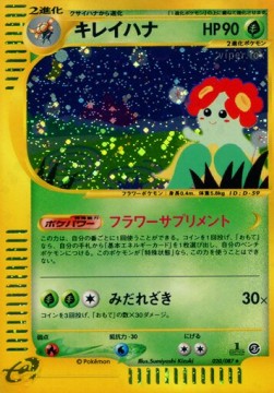 キレイハナ card front