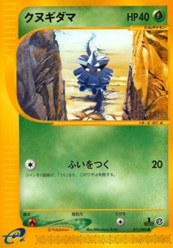 クヌギダマ card front