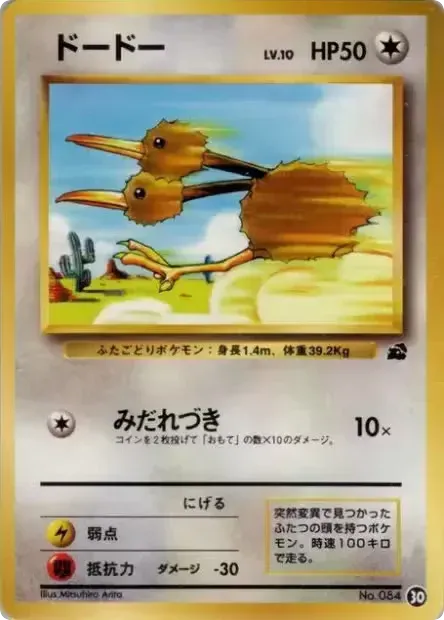 ドードー card front