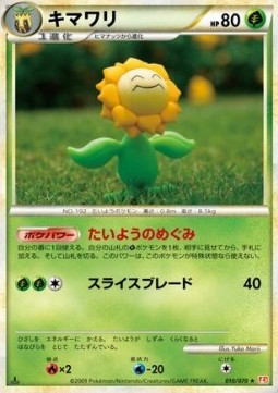 キマワリ card front