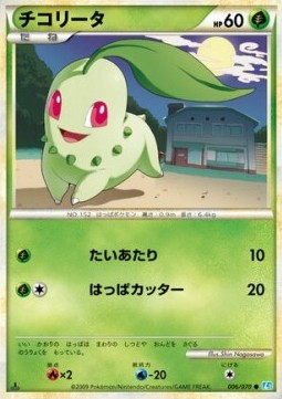 チコリータ card front