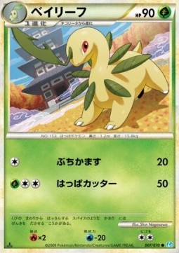 ベイリーフ card front