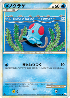 メノクラゲ