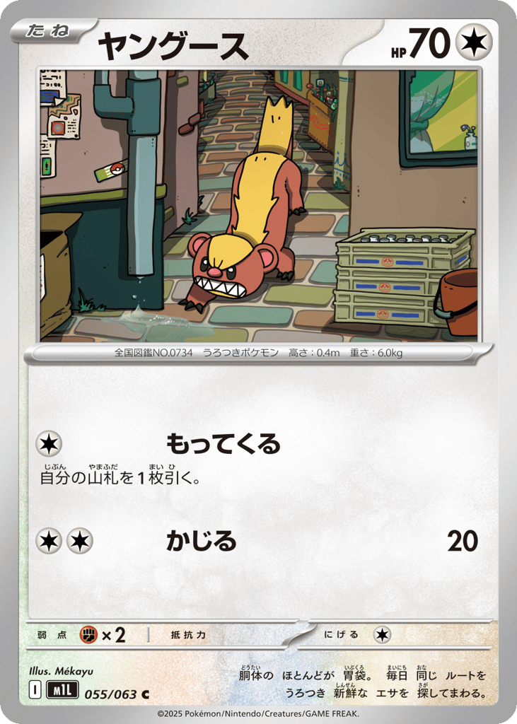ヤングース card front