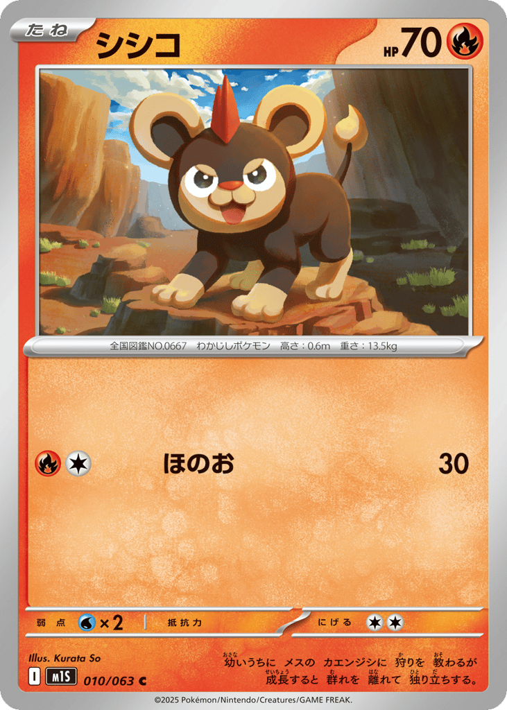 シシコ card front