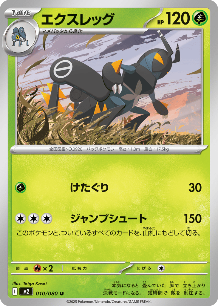 エクスレッグ card front