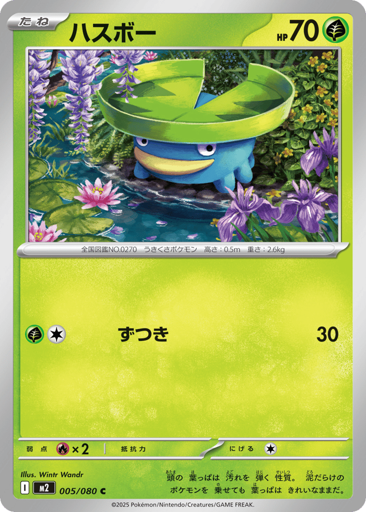 ハスボー card front