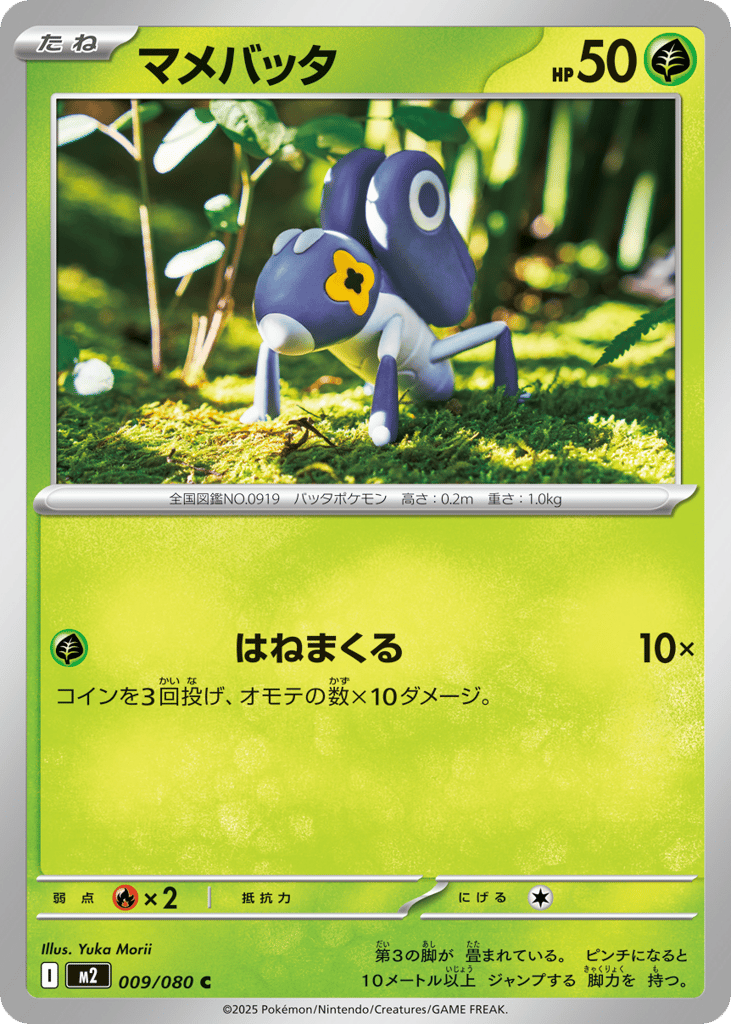 マメバッタ card front