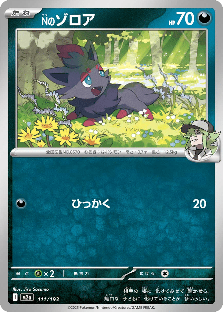 Nのゾロア card front