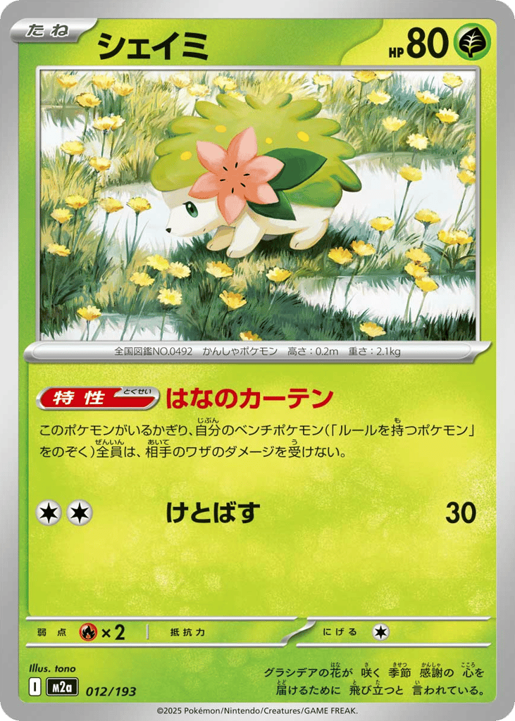 シェイミ card front