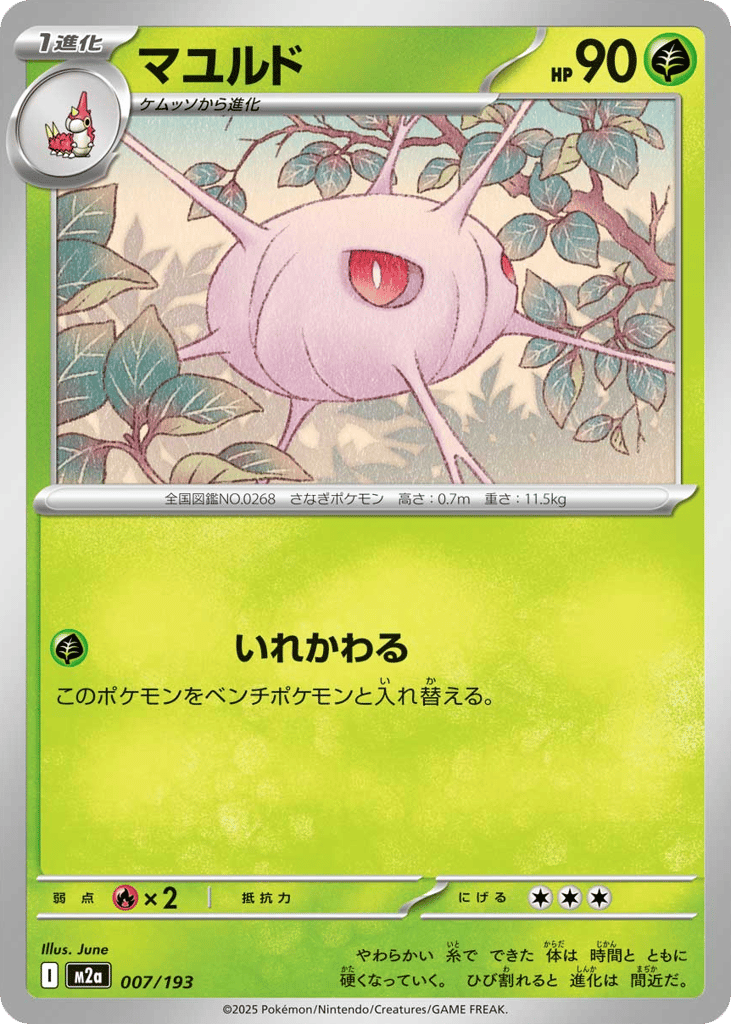 マユルド card front