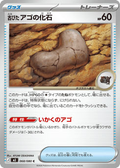 古びたアゴの化石