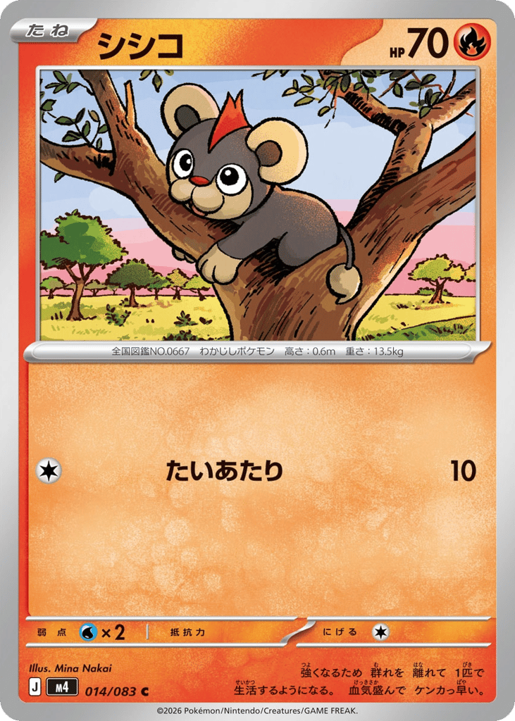 シシコ card front