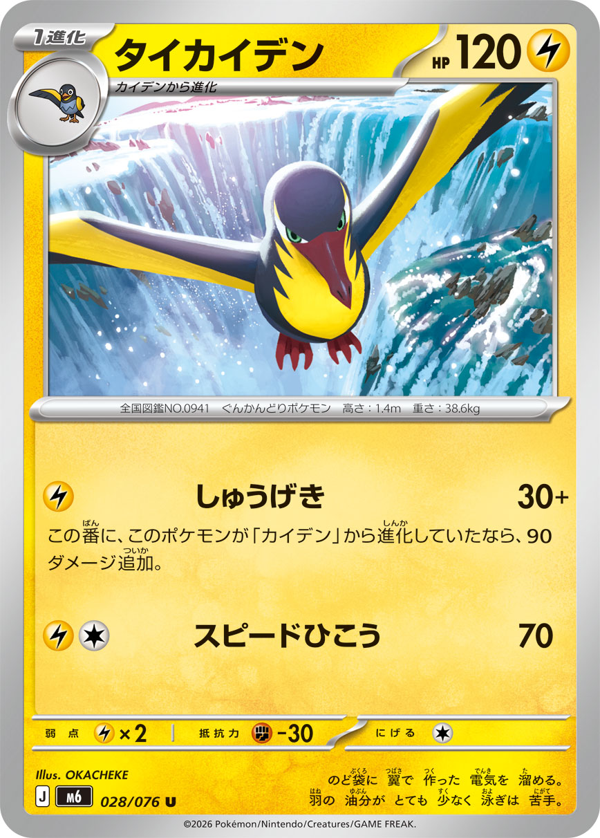 タイカイデン card front