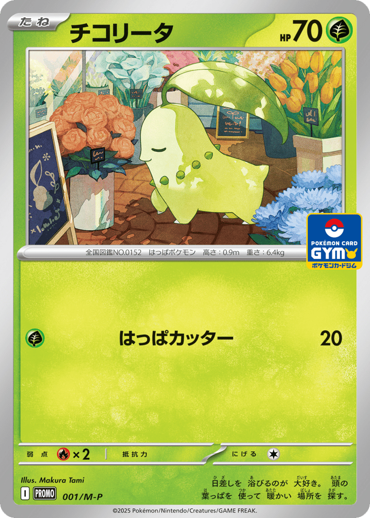 チコリータ card front