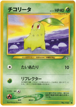 チコリータ