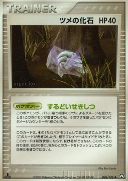 ツメの化石 card front