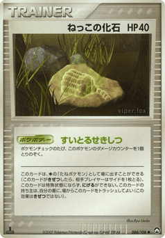 ねっこの化石