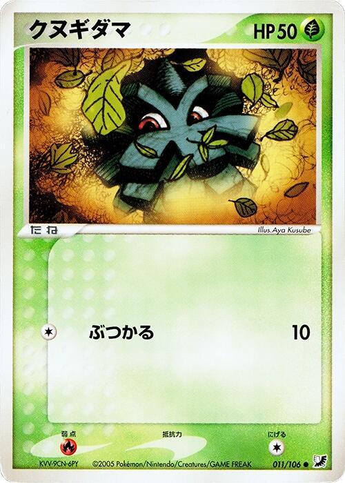 クヌギダマ card front