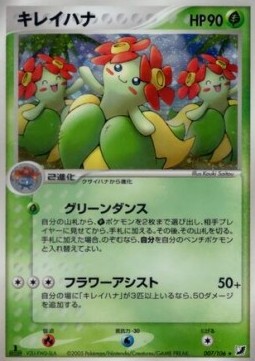 キレイハナ card front