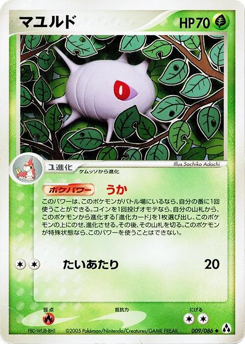 マユルド card front