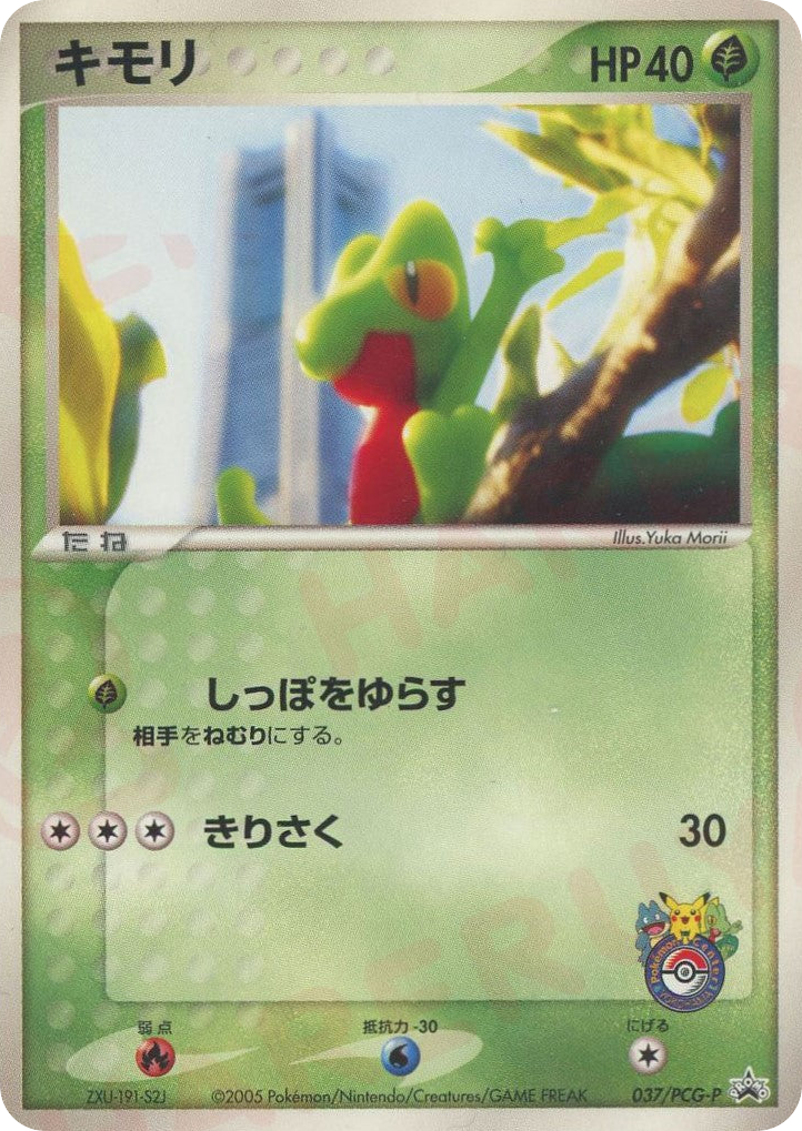 キモリ card front
