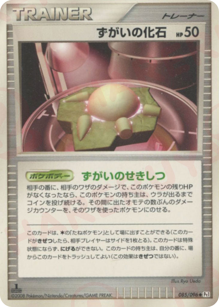 ずがいの化石 card front