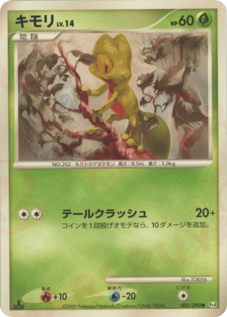 キモリ card front