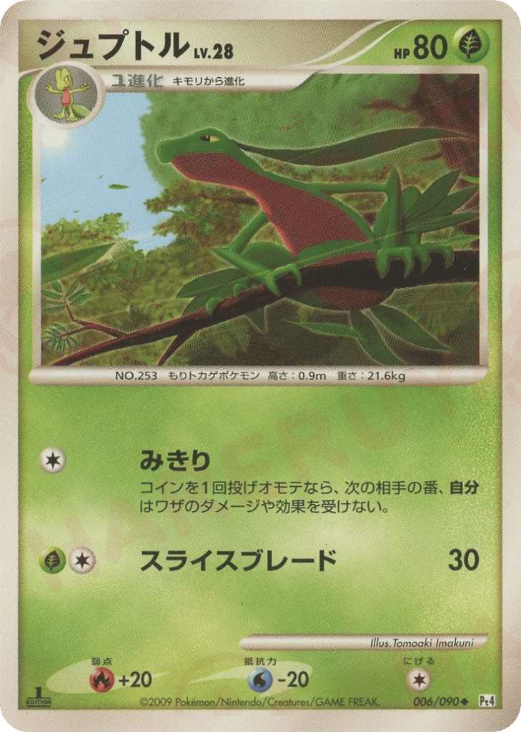 ジュプトル card front