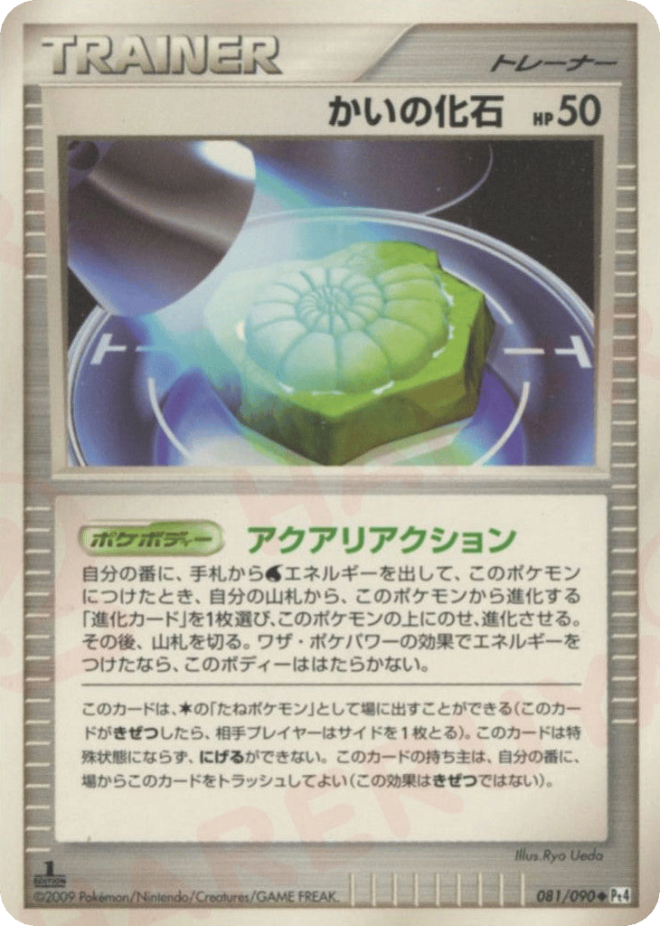 かいの化石 card front