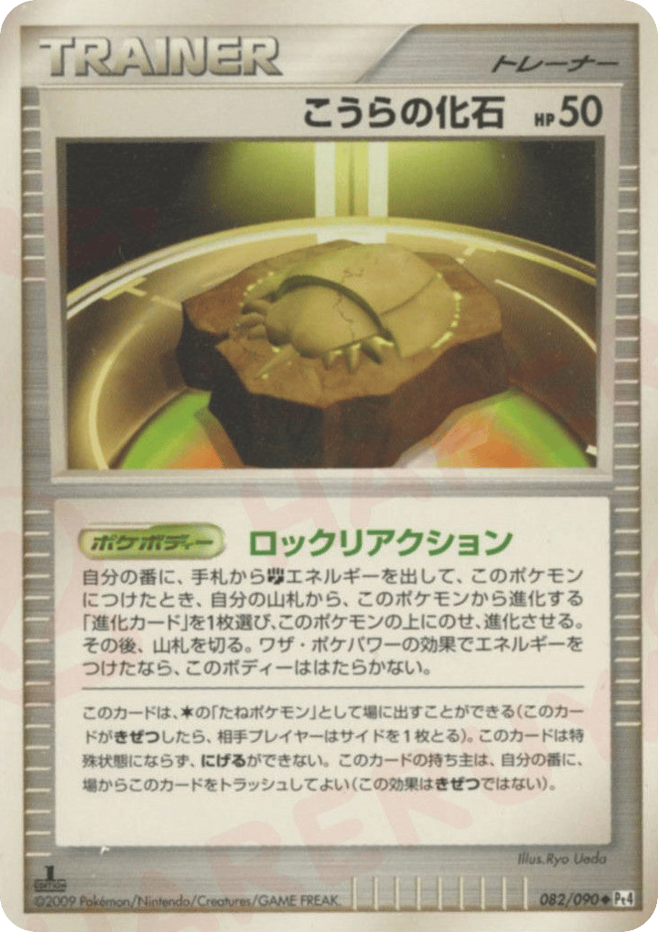 こうらの化石 card front