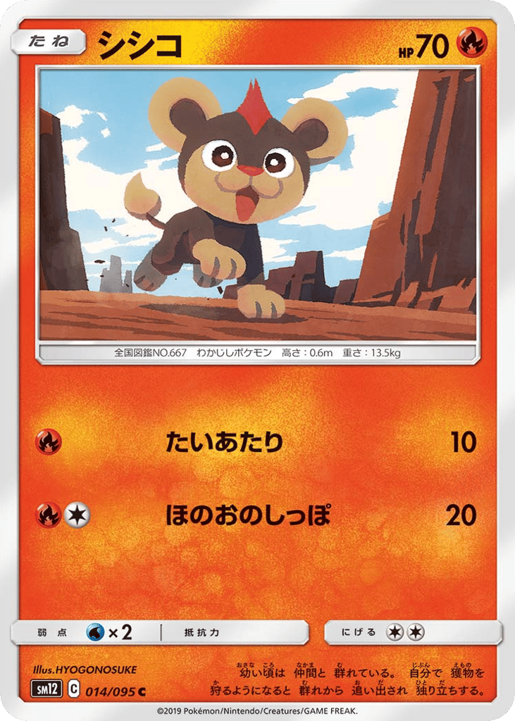 シシコ card front