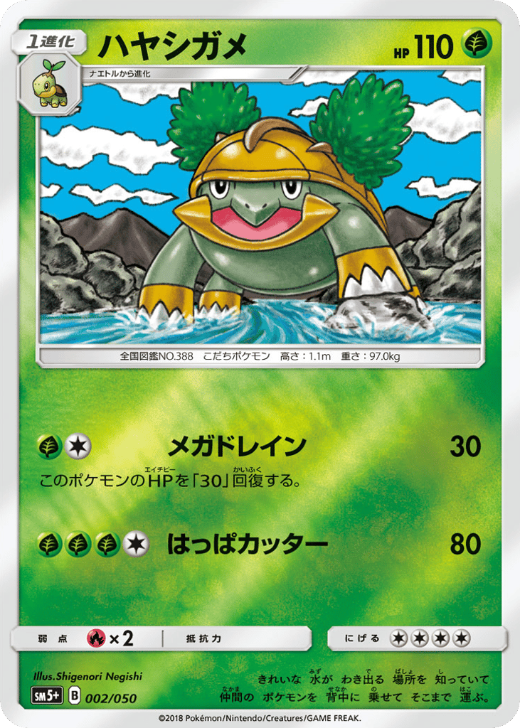 ハヤシガメ card front