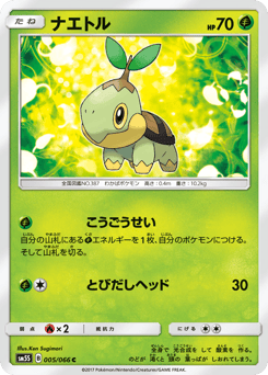 ナエトル