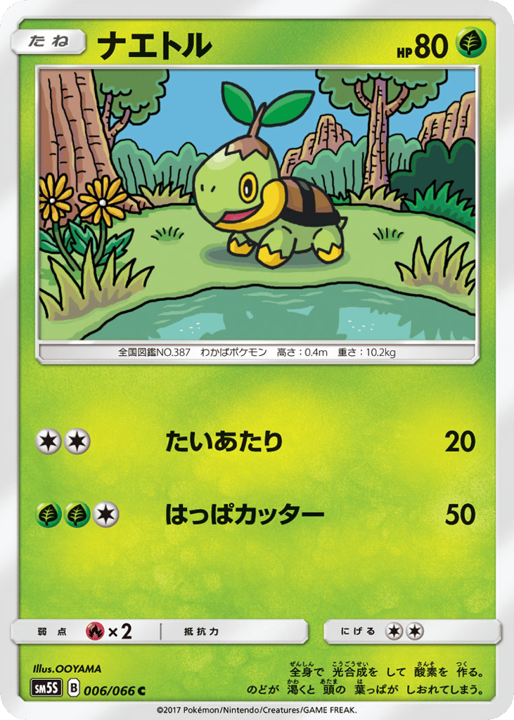ナエトル card front