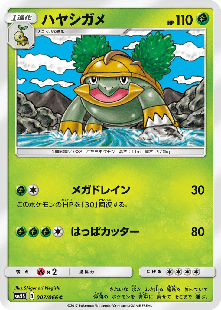 ハヤシガメ card front