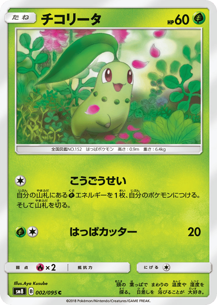 チコリータ card front
