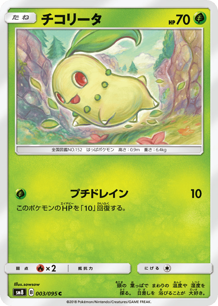 チコリータ card front