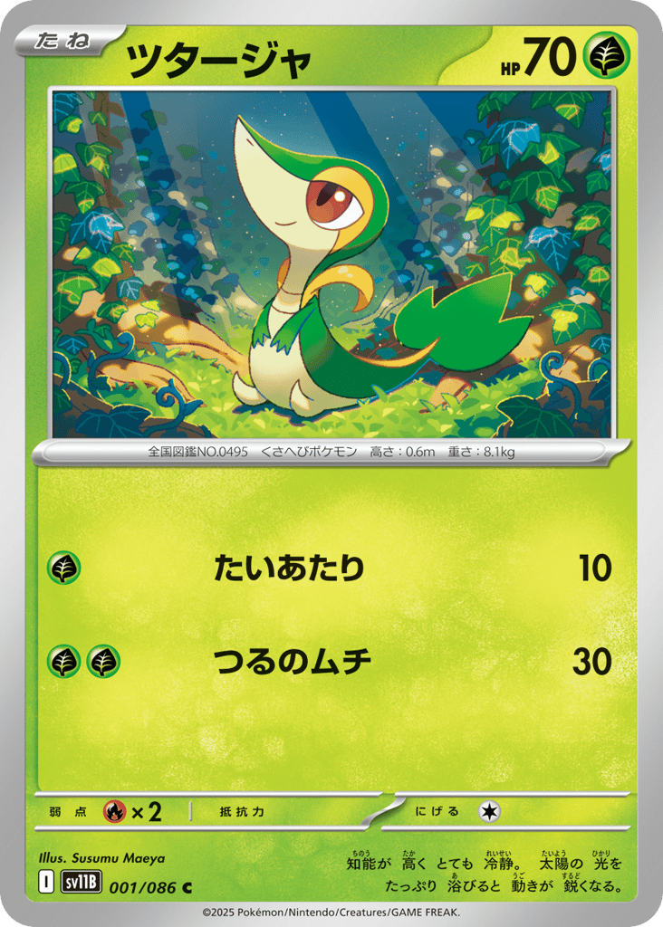 ツタージャ card front