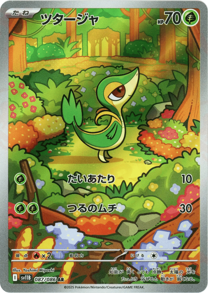 ツタージャ card front