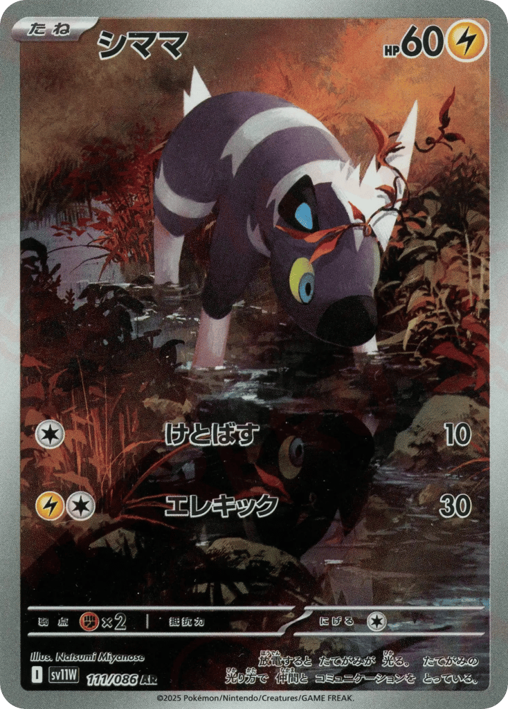 シママ card front