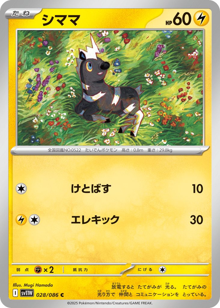 シママ card front