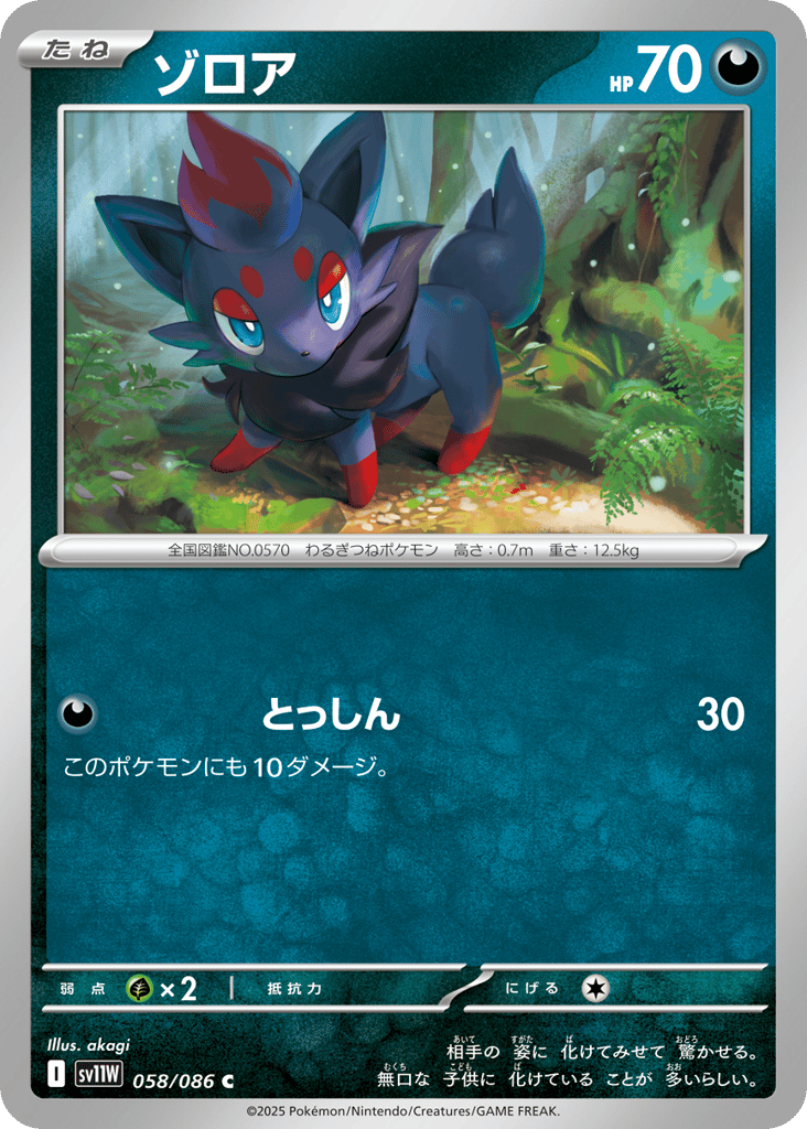 ゾロア card front